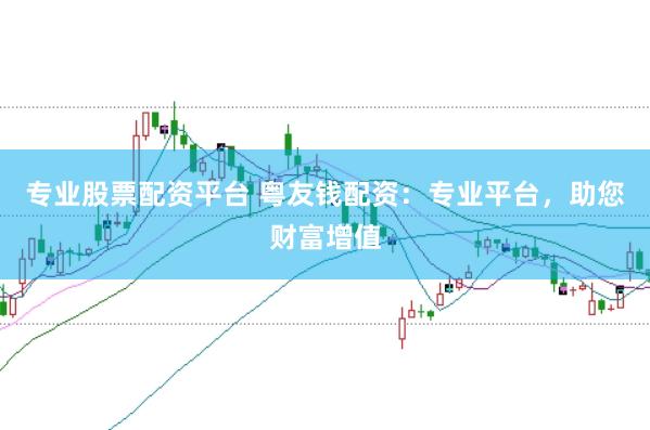 专业股票配资平台 粤友钱配资：专业平台，助您财富增值