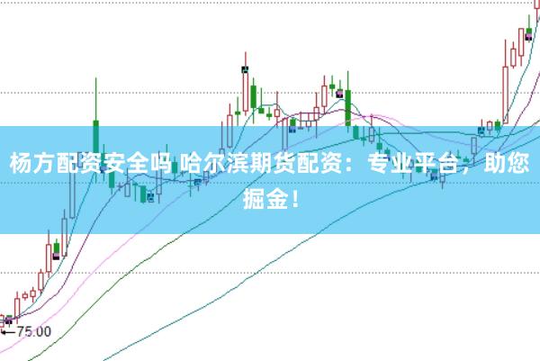杨方配资安全吗 哈尔滨期货配资：专业平台，助您掘金！