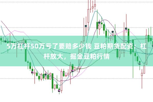 5万杠杆50万亏了要赔多少钱 豆粕期货配资：杠杆放大，掘金豆粕行情