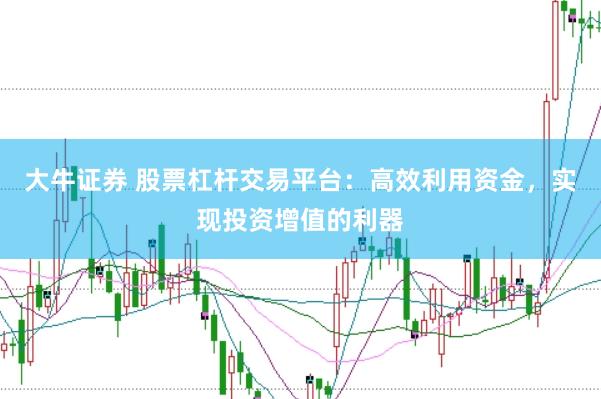 大牛证券 股票杠杆交易平台：高效利用资金，实现投资增值的利器