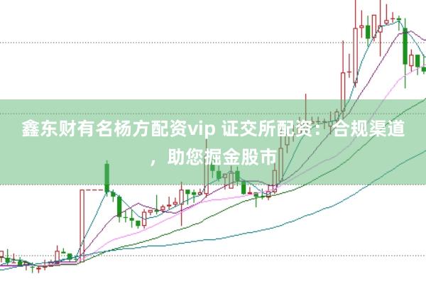 鑫东财有名杨方配资vip 证交所配资：合规渠道，助您掘金股市