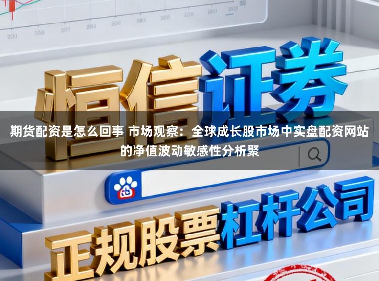期货配资是怎么回事 市场观察：全球成长股市场中实盘配资网站的净值波动敏感性分析聚