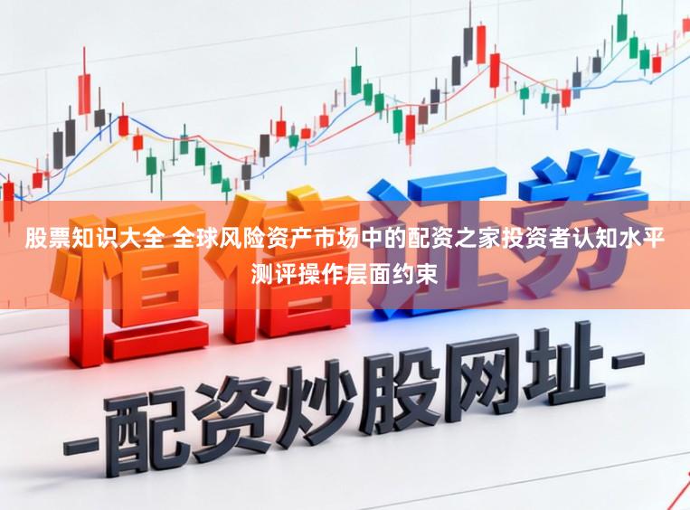 股票知识大全 全球风险资产市场中的配资之家投资者认知水平测评操作层面约束